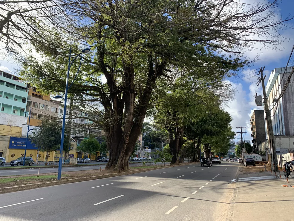 Fornecimento de água será interrompido nas avenidas Juracy Magalhães e Vasco da Gama, em Salvador, no domingo