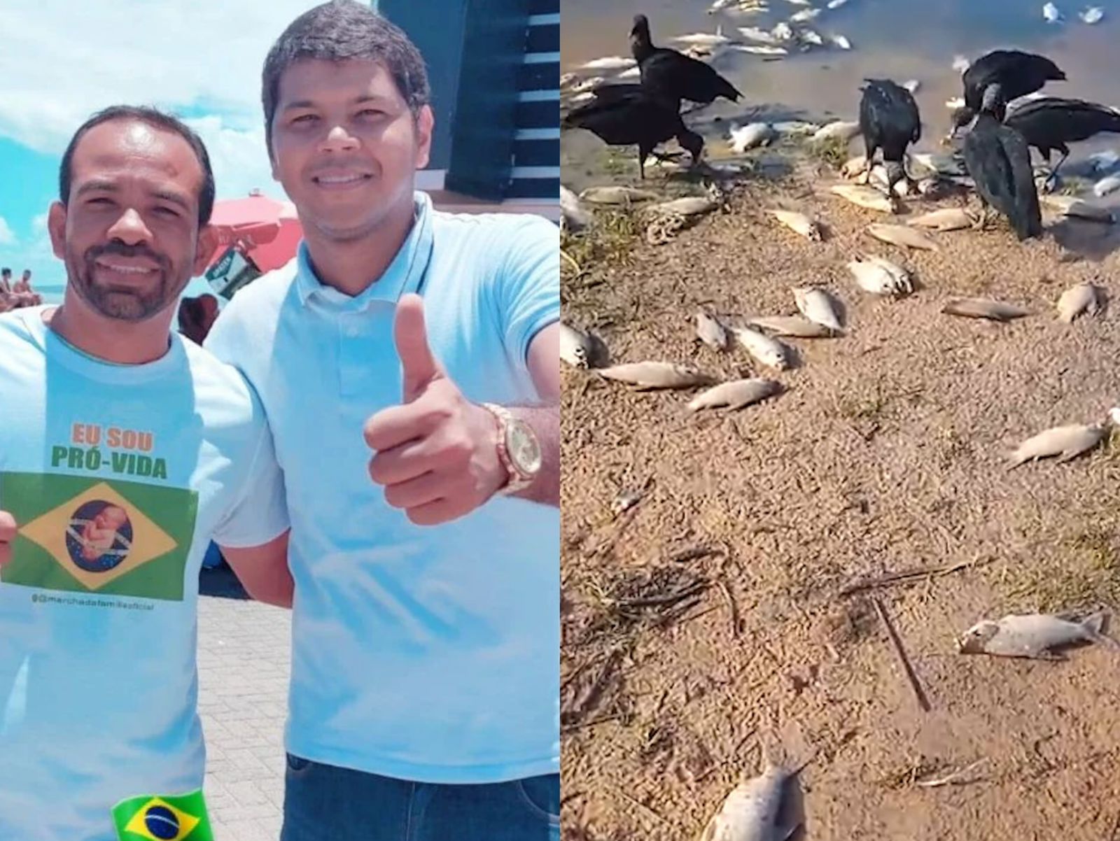 Diego Castro aciona MP-BA e órgãos ambientais após denúncia de mortandade de peixes em Prado