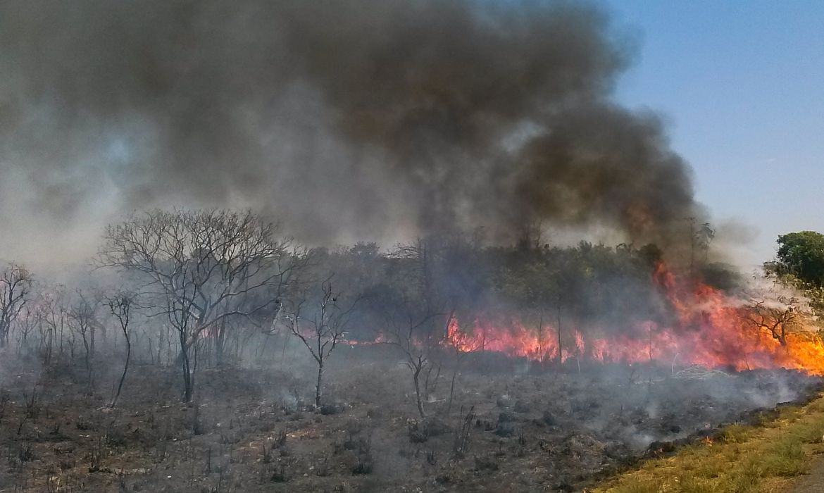 Amazônia registra recorde de incêndios em fevereiro