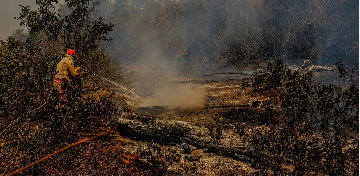 STF reconhece omissão do Congresso em editar lei para proteção específica do Pantanal