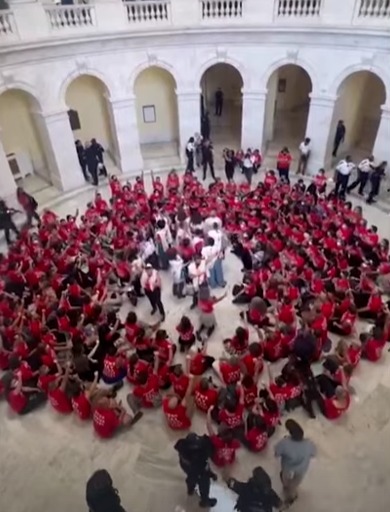 Manifestantes judeus pró-Palestina são presos no Capitólio