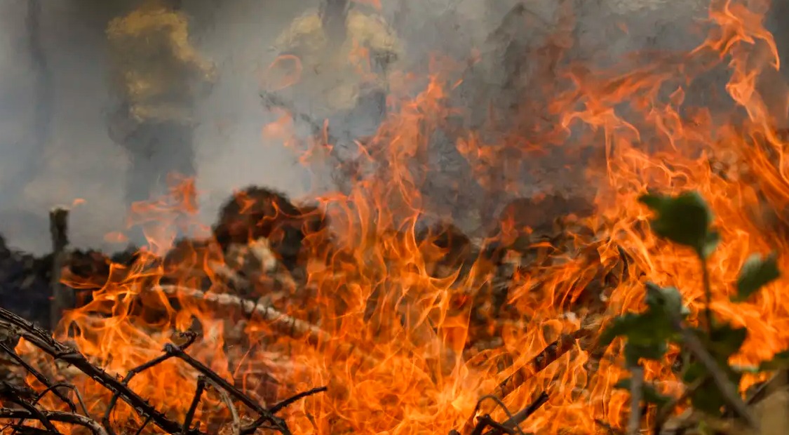 Bolívia pede auxílio ao Brasil para combater incêndios florestais 