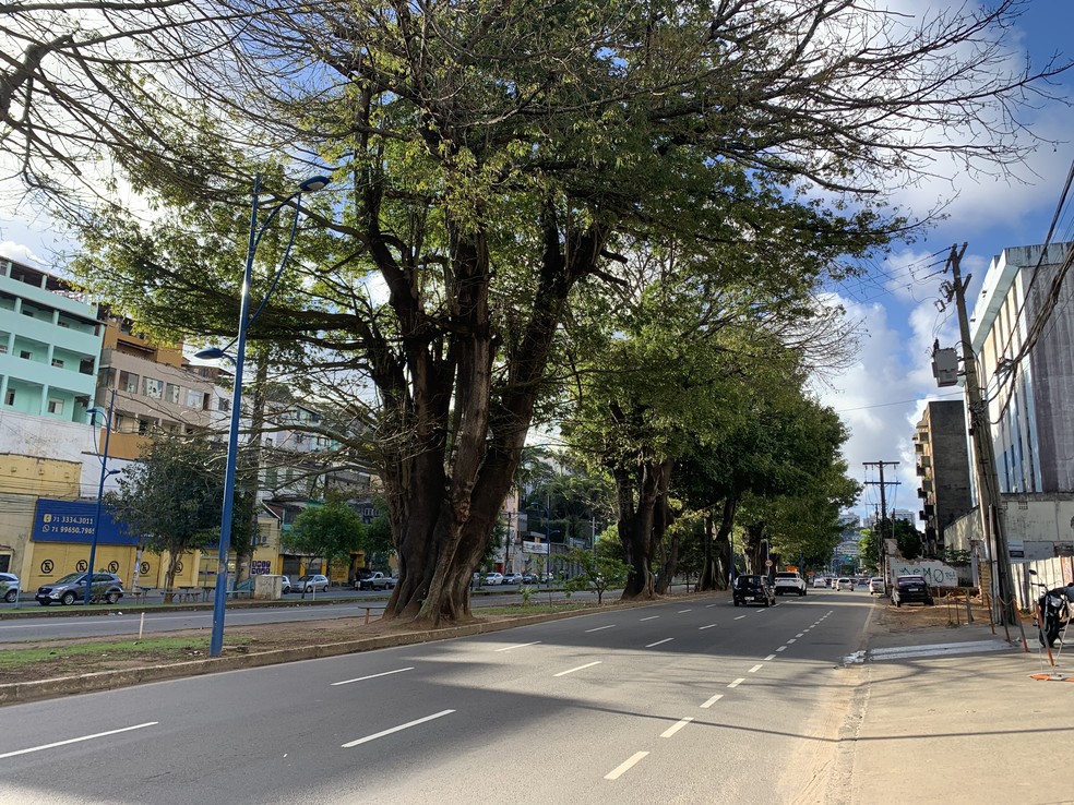 Poste explode e deixa Vasco da Gama sem luz 