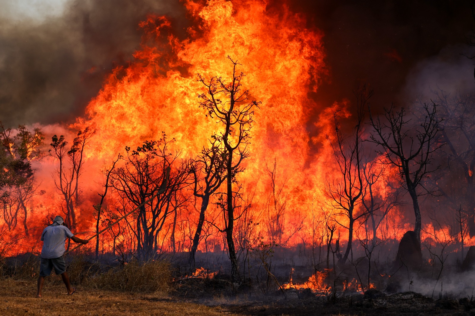 Pantanal e Amazônia enfrentaram piores incêndios em quase 20 anos