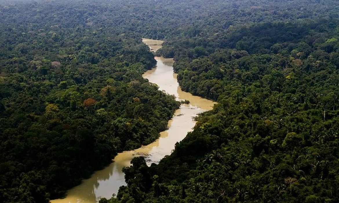 Bolsonaro criou mercado de crédito de carbono e abriu espaço para privatização da Amazônia